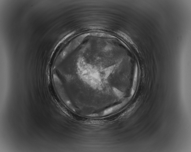 X0000087010782200705071525