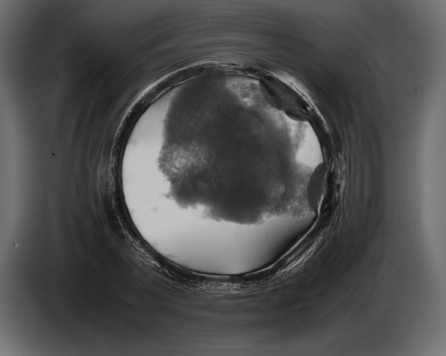 X0000087010783200705071525