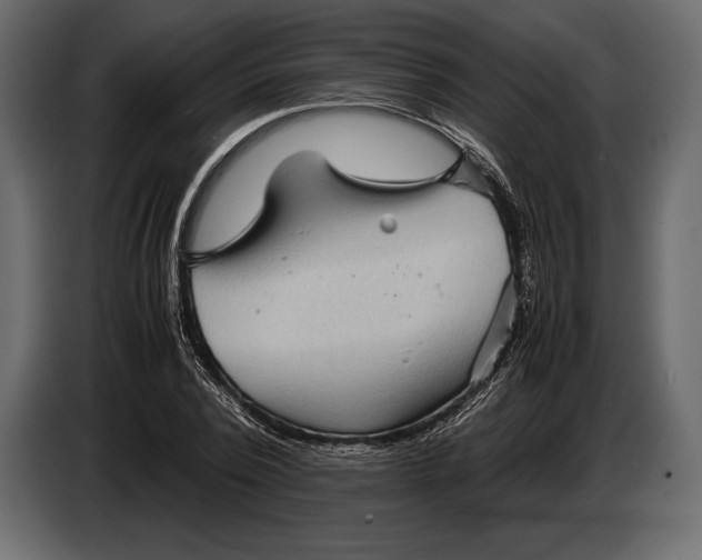 X0000087010784200705071525