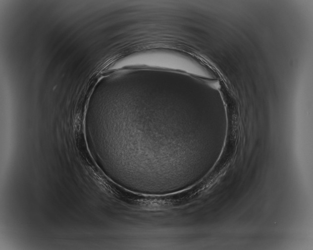 X0000087010785200705071525