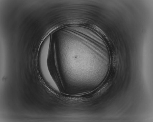 X0000087010786200705071525