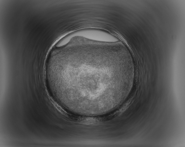 X0000087010787200705071525