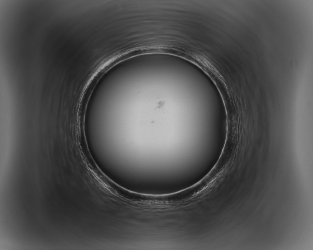 X0000087010789200705071525