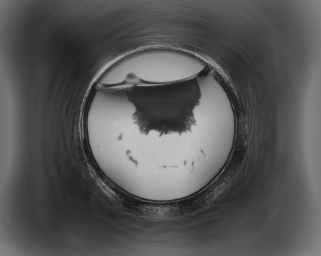 X0000087010791200705071525