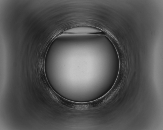 X0000087010793200705071525