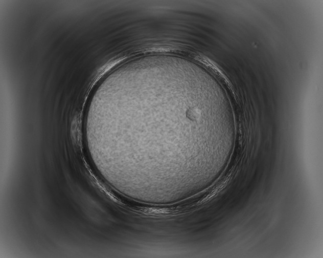 X0000087010794200705071525