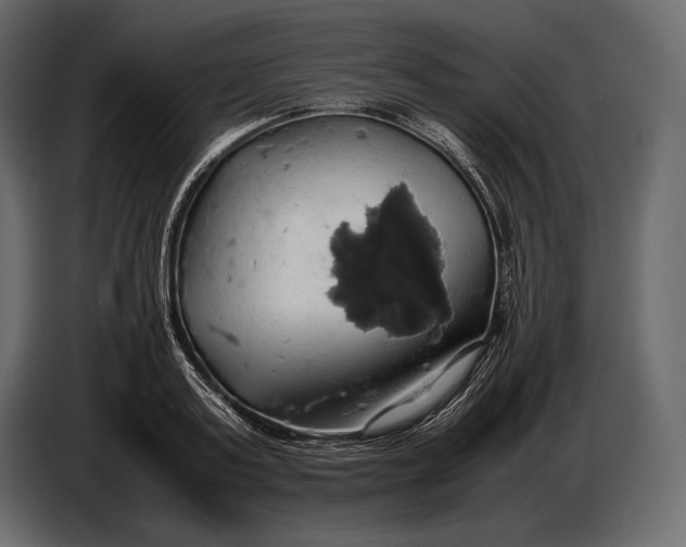 X0000087010795200705071525