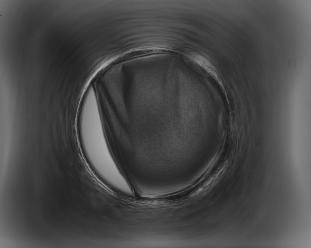 X0000087010797200705071525