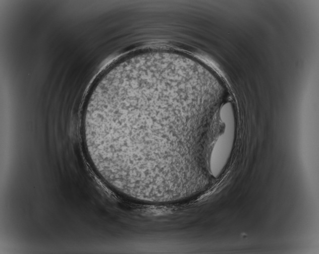 X0000087010799200705071525