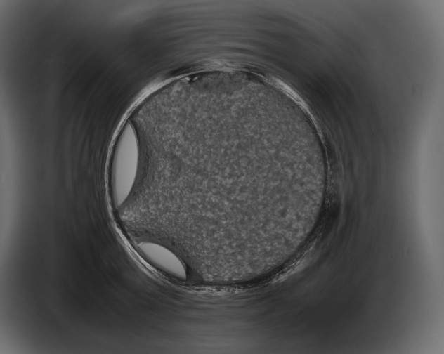 X0000087010803200705071525