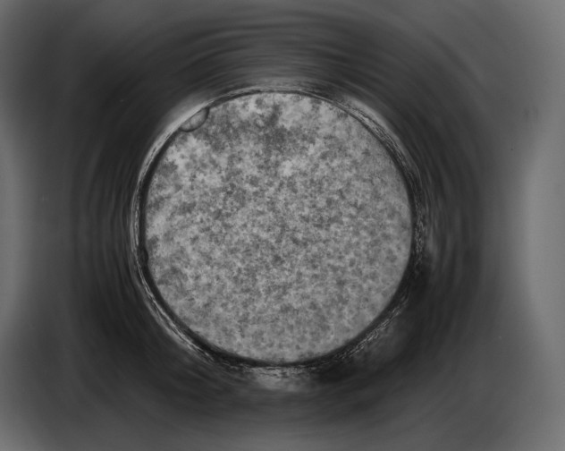 X0000087010804200705071525