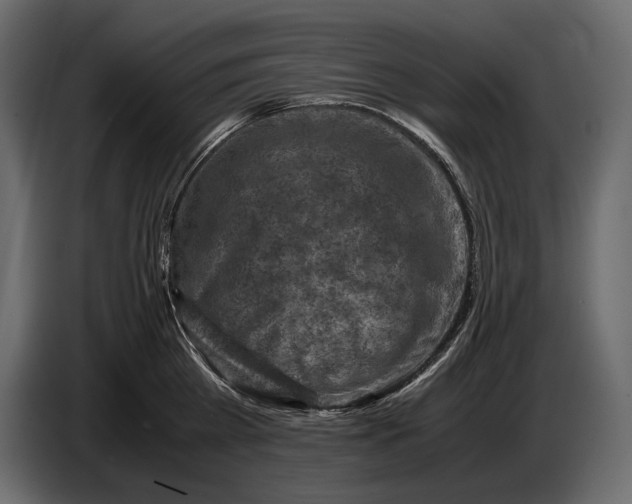 X0000087010809200705071525