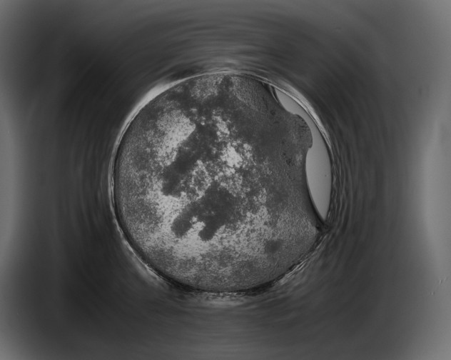 X0000087010811200705071525