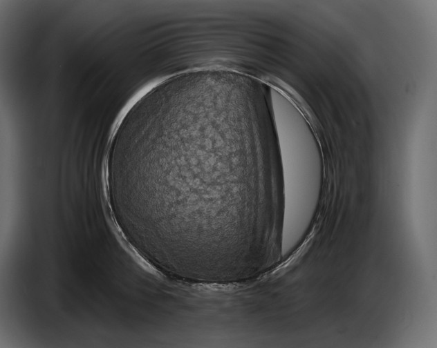 X0000087010812200705071525