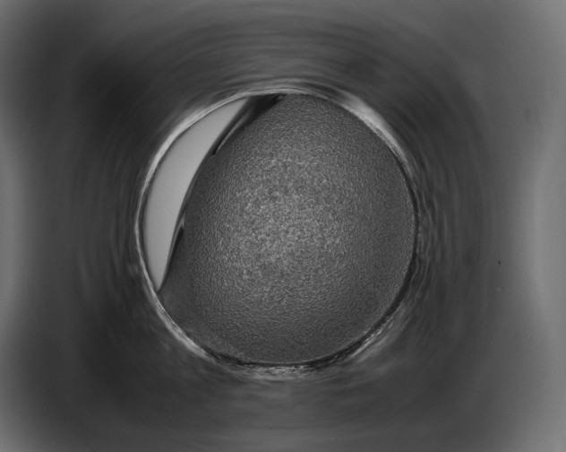 X0000087010813200705071524