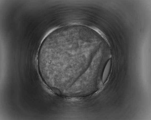 X0000087010814200705071524