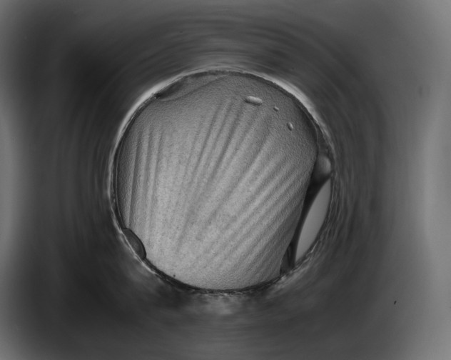 X0000087010815200705071524