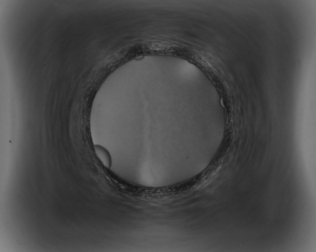 X0000087010817200705071524