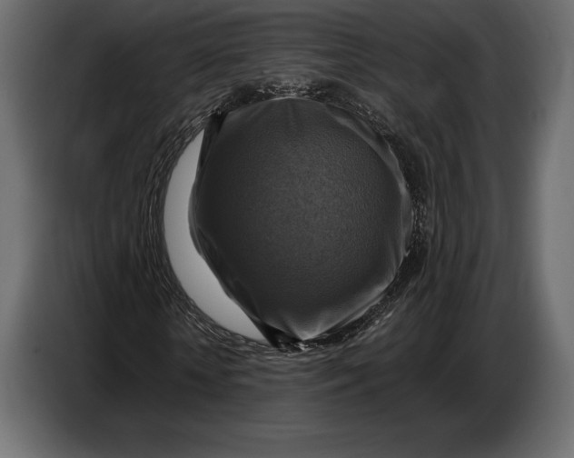 X0000087010818200705071524