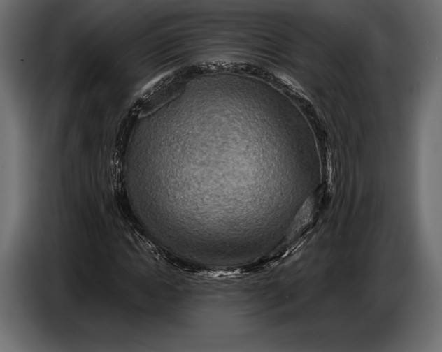 X0000087010822200705071524