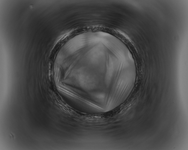 X0000087010823200705071524