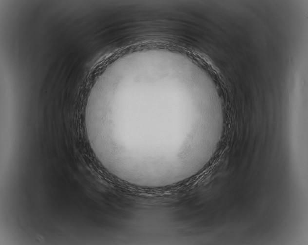 X0000087010824200705071524