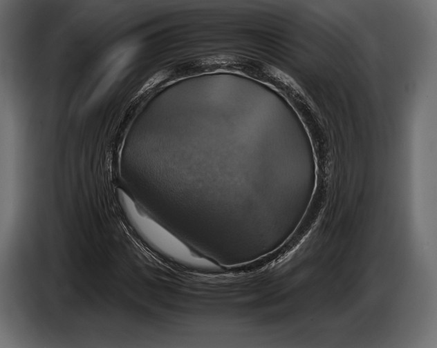 X0000087010825200705071524