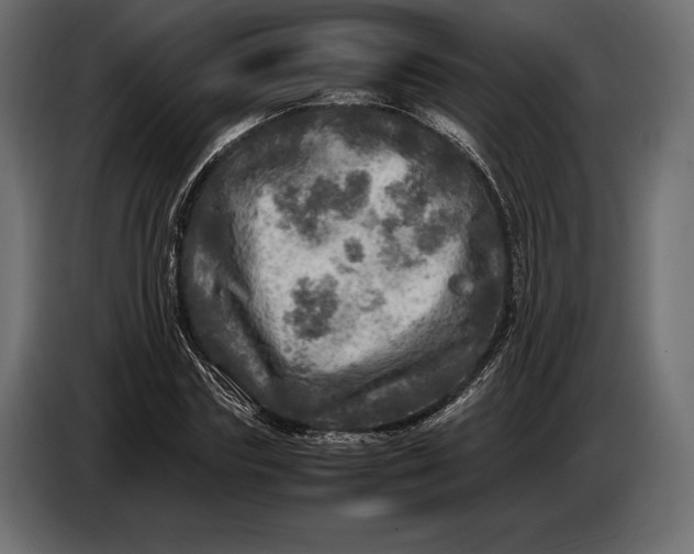 X0000087010827200705071524