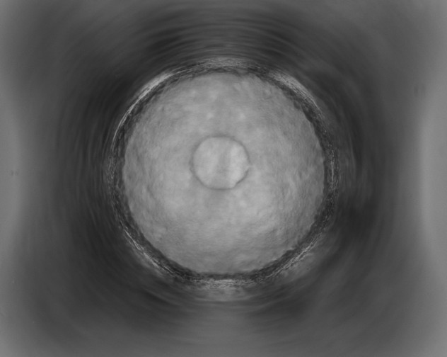 X0000087010828200705071524