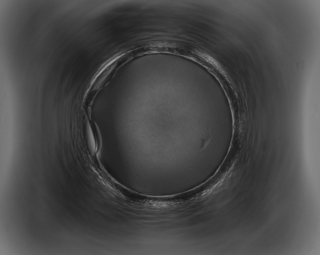 X0000087010829200705071524