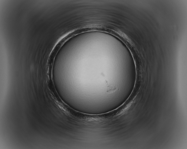 X0000087010830200705071524