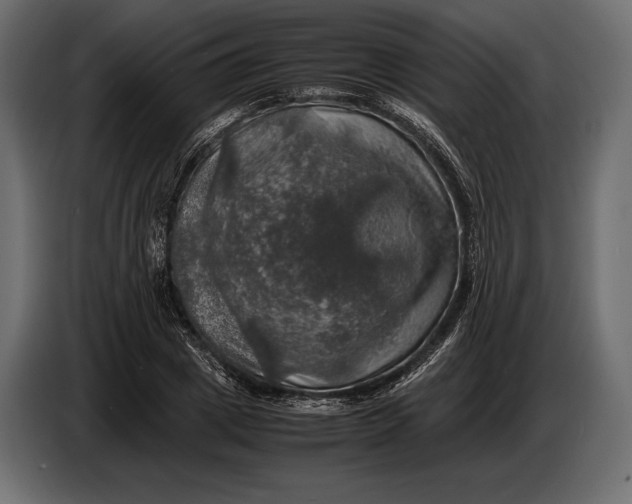 X0000087010833200705071524