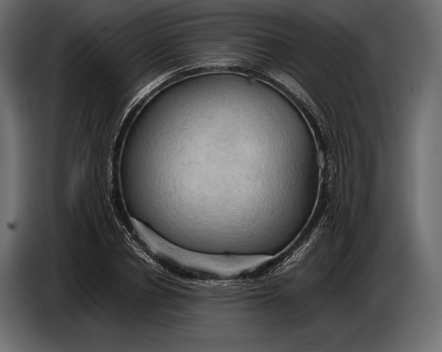 X0000087010834200705071524