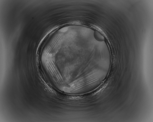 X0000087010835200705071524