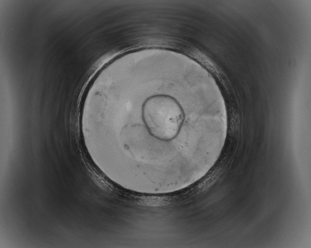 X0000087010836200705071524