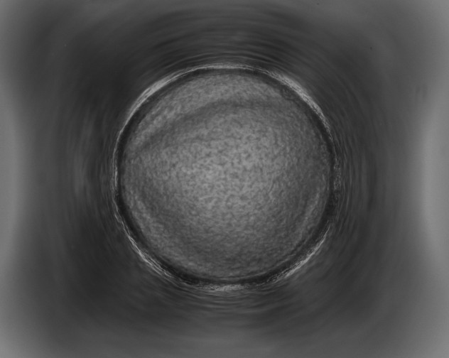 X0000087010837200705071524