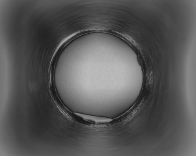 X0000087010838200705071524