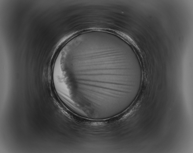 X0000087010839200705071524