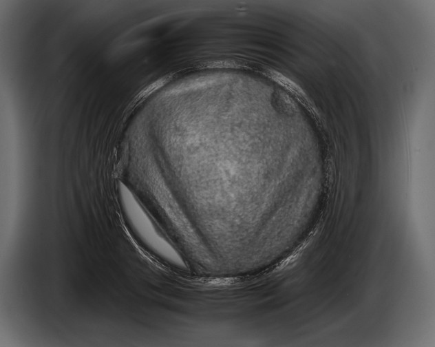 X0000087010841200705071524