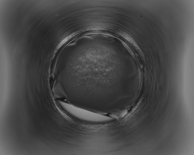 X0000087010842200705071524