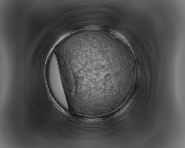 X0000087010843200705071524