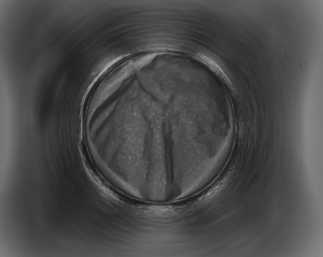 X0000087010844200705071524