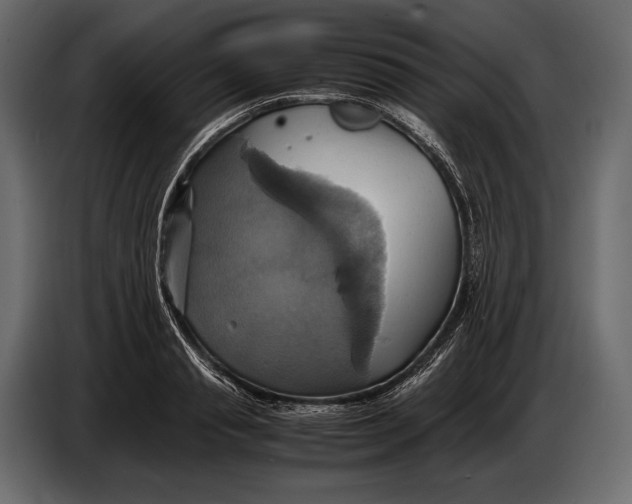 X0000087010845200705071524