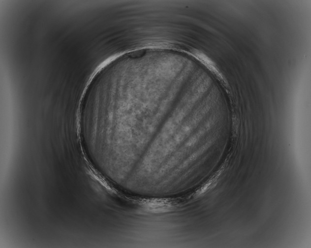 X0000087010846200705071524