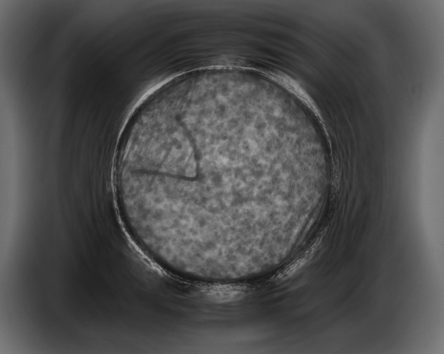 X0000087010847200705071524