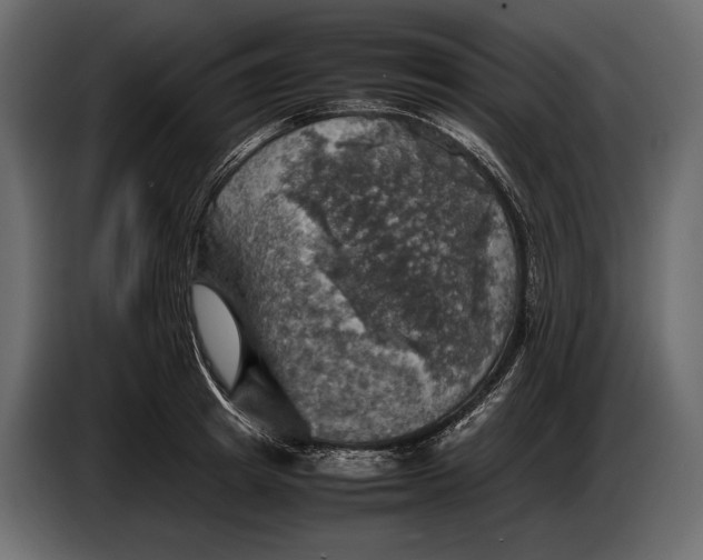 X0000087010849200705071524