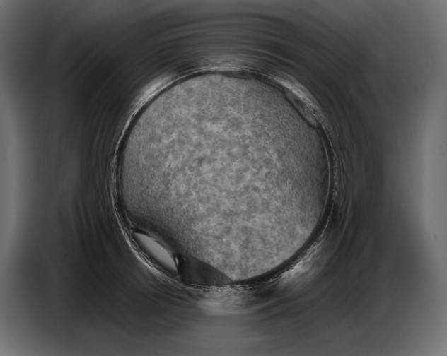 X0000087010850200705071524