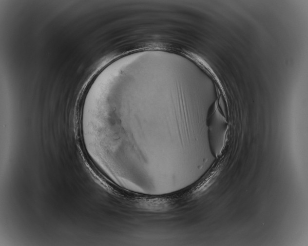 X0000087010851200705071524