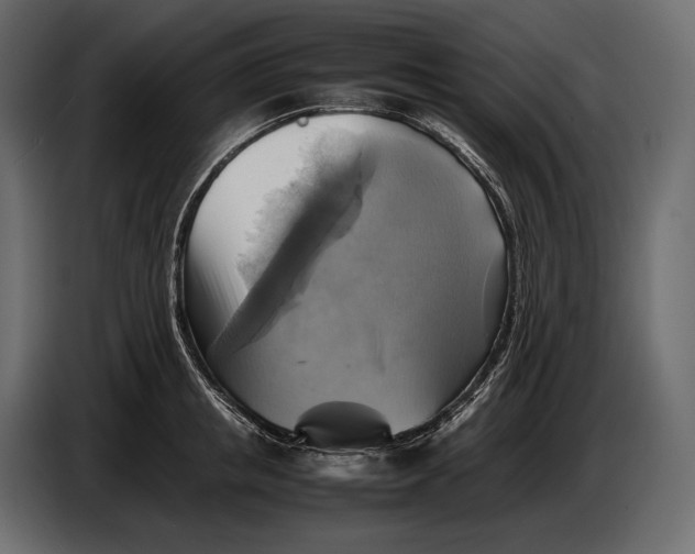 X0000087010853200705071524