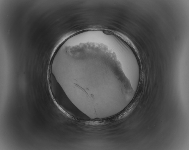 X0000087010855200705071524